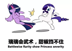 Size: 706x504 | Tagged: safe, artist:congee-painting, derpibooru import, rarity, twilight sparkle, twilight sparkle (alicorn), alicorn, pony, chinese text, chinglish, engrish, female, kung fu, mare, martial artist rarity