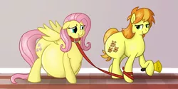 Size: 2000x1000 | Tagged: suggestive, artist:bigponiesinc, derpibooru import, fluttershy, teddie safari, earth pony, pegasus, pony, bedroom eyes, bell, belly, big belly, collar, domination, duo, fat, fattershy, flank, flutterpet, full set, hips, huge belly, leash, obese, pet play, thighs, thunder thighs, wide hips