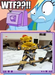 Size: 654x898 | Tagged: bumblebee, cosplay, derpibooru import, exploitable meme, meme, obligatory pony, rainbow dash, safe, spitfire, transformers, tv meme