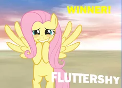 Size: 550x399 | Tagged: derpibooru import, fluttershy, safe, solo, super smash bros., super smash bros. 4, victory, victory screen