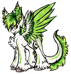 Size: 1185x1234 | Tagged: artist:iroxykun, blank flank, colored wings, commission, derpibooru import, fluffy, lutei, male, oc, oc:falx, original species, pegasus, safe, stallion, unofficial characters only, unshorn fetlocks, wing fluff, wings