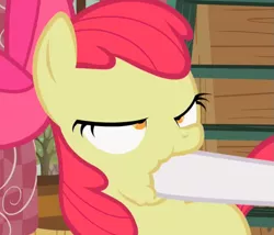 Size: 859x737 | Tagged: safe, derpibooru import, screencap, apple bloom, sweetie belle, pony, family appreciation day, cropped, derp, female, filly, hoof in mouth, lidded eyes, out of context, solo focus