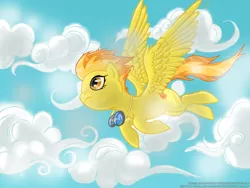 Size: 2600x1950 | Tagged: safe, artist:fluffywuffs, artist:pulsarascension, derpibooru import, spitfire, goggles, sky, solo