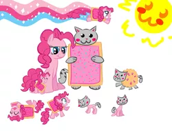 Size: 1119x850 | Tagged: safe, artist:tess, derpibooru import, pinkie pie, cat, hybrid, pony, cake, crossover, cute, eating, female, food, interspecies, interspecies offspring, mare, not salmon, nyan cat, offspring, pie, poptart, sitting, wat, what has science done