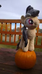Size: 918x1632 | Tagged: artist:zombies8mywaffle, cute, daring do, daring dorable, derpibooru import, for sale, halloween, handmade, irl, photo, plush for sale, plushie, pumpkin, safe