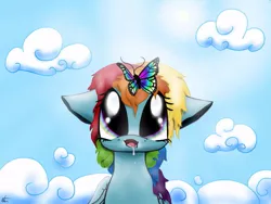 Size: 960x720 | Tagged: artist:kot6, butterfly, derpibooru import, drool, rainbow dash, safe, solo