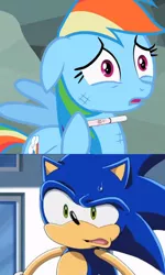 Size: 476x795 | Tagged: safe, derpibooru import, rainbow dash, pony, copy and paste, crossover, crossover shipping, downvote bait, female, interspecies, interspecies offspring, male, pregnancy test, pregnancy test meme, shipping, sonic the hedgehog, sonic the hedgehog (series), sonic x, sonicdash, straight