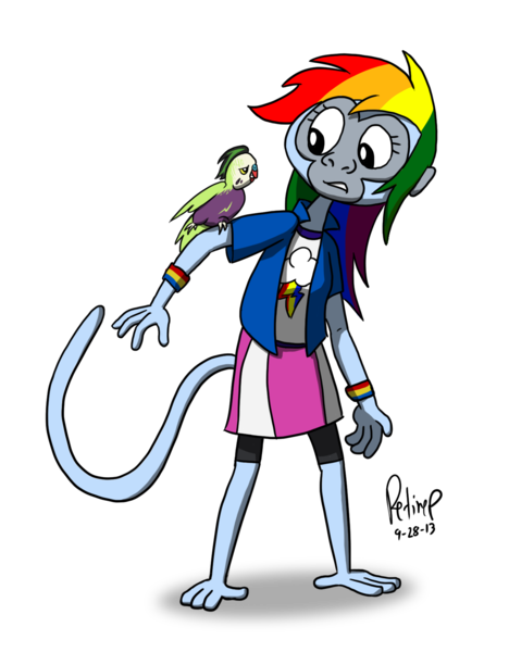 Size: 1342x1720 | Tagged: safe, artist:petirep, derpibooru import, rainbow dash, bird, monkey, parakeet, rainbow dash presents, equestria girls, birdified, simple background, species swap, the jokermort, transparent background