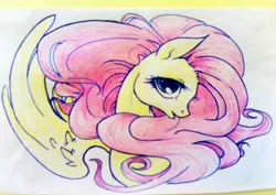Size: 436x309 | Tagged: safe, artist:pandan009, derpibooru import, fluttershy, pegasus, pony, bust, female, head turn, looking at you, mare, one wing out, open mouth, portrait, profile, solo, spread wings, traditional art, wings