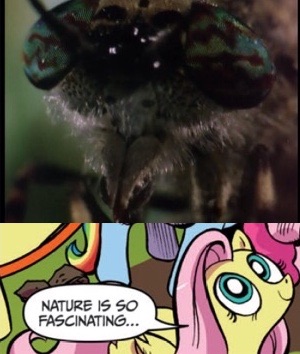 Size: 300x354 | Tagged: comic, derpibooru import, exploitable meme, fluttershy, idw, meme, nature is so fascinating, obligatory pony, safe, spongebob squarepants, wormy