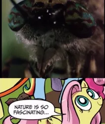 Size: 300x354 | Tagged: comic, derpibooru import, exploitable meme, fluttershy, idw, meme, nature is so fascinating, obligatory pony, safe, spongebob squarepants, wormy