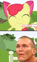 Size: 600x997 | Tagged: safe, derpibooru import, apple bloom, earth pony, human, pony, /mlp/, comic, female, filly, male, meme, pregnancy test, pregnancy test meme, randy orton, rko outta nowhere, wwe