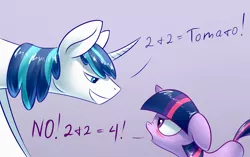 Size: 1748x1097 | Tagged: argument, blushing, brother and sister, cute, derpibooru import, dock, female, filly, filly twilight sparkle, floppy ears, glare, grin, male, math, nose wrinkle, safe, shining armor, siblings, smirk, teasing, trolling, twilight is not amused, twilight sparkle, unamused, underpable is trying to murder us, we never had one single fight, younger