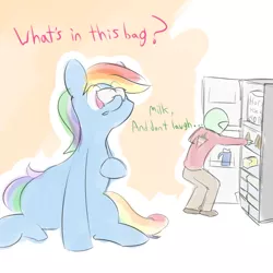 Size: 990x990 | Tagged: safe, artist:askcanadash, derpibooru import, rainbow dash, oc, oc:anon, human, pegasus, pony, balancing, canada, curious, giant pony, macro, milk, milk bag, ponies balancing stuff on their nose, refrigerator, sitting