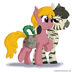 Size: 1100x1100 | Tagged: safe, artist:stinkehund, derpibooru import, cherry berry, oc, unofficial characters only, earth pony, original species, zebra, duo, female, fluffy, male, saddle bag, tentacles, tentapony