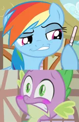 Size: 518x799 | Tagged: safe, artist:the-equestrian-mist, derpibooru import, edit, rainbow dash, spike, dragon, pegasus, pony, blushing, faic, female, gritted teeth, interspecies, male, mare, meme, photoshop, ponyville, pregnancy test, pregnancy test meme, rainbowspike, shipping, smug, smugdash, straight