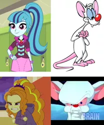 Size: 934x1117 | Tagged: safe, derpibooru import, screencap, adagio dazzle, sonata dusk, equestria girls, rainbow rocks, angry, brain, comparison, pinky, pinky and the brain, similarities, the brain