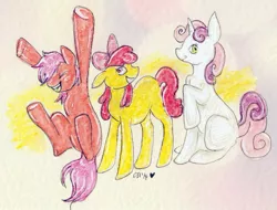 Size: 837x637 | Tagged: apple bloom, artist:twinklestahh, cutie mark crusaders, derpibooru import, safe, scootaloo, sweetie belle, traditional art