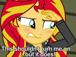 Size: 600x450 | Tagged: suggestive, derpibooru import, edit, edited screencap, screencap, sunset shimmer, equestria girls, rainbow rocks, aroused, blushing, caption, confused, guilty pleasure, image macro, juxtaposition bait, out of context, reaction image, shocked, solo