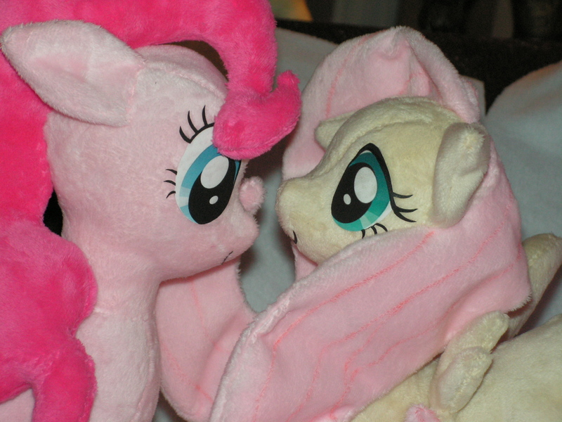 Size: 1600x1200 | Tagged: artist:karasunezumi, cute, derpibooru import, fluttershy, irl, photo, pinkie pie, plushie, safe