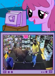 Size: 437x600 | Tagged: berry punch, berryshine, derpibooru import, exploitable meme, hoers, human, irl, irl human, liquor store, meme, obligatory pony, photo, poop, pooping, real pony, safe, tv meme