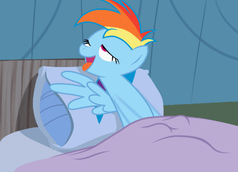 574878 - animated, artist:moonlitbrush, bed, clopping, derpibooru import,  female, funny porn, masturbation, questionable, rainbow dash, reaction  image, read it and weep, scene parody, show accurate, show accurate porn,  solo, solo female, wingboner -