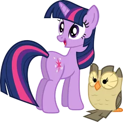 Size: 3549x3534 | Tagged: safe, artist:porygon2z, derpibooru import, owlowiscious, twilight sparkle, bird, owl, pony, unicorn, butt, duo, female, high res, looking back, looking over shoulder, mare, plot, simple background, solo, transparent background, twibutt, unicorn twilight, vector