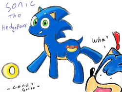 Size: 1024x768 | Tagged: anthro ponidox, artist:candygunso, chili dog, chilli, crossover, derpibooru import, hot dog, ponified, ring, safe, self ponidox, solo, sonic the hedgehog, sonic the hedgehog (series)
