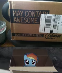 Size: 1296x1514 | Tagged: artist:thesavederpyfoundation, box, derpibooru import, fanfic:my little dashie, implied hammers, irl, newegg, photo, ponies in real life, rainbow dash, safe