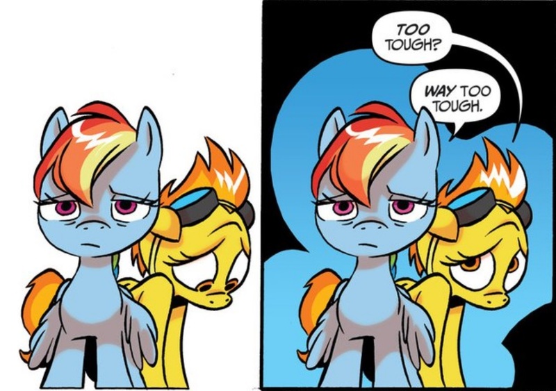 Size: 1238x872 | Tagged: safe, artist:jay fosgitt, derpibooru import, idw, rainbow dash, spitfire, pegasus, pony, friends forever, spoiler:comic, spoiler:comicff11, ashamed, duo, goggles, shame, tired