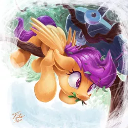 Size: 900x900 | Tagged: safe, artist:tsitra360, derpibooru import, scootaloo, pegasus, pony, crash, derp, fail, female, filly, floppy ears, frown, scootacrash, scooter, solo, stuck, tree, wide eyes