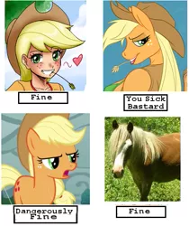 Size: 471x561 | Tagged: safe, artist:johnjoseco, artist:tyelle, derpibooru import, edit, edited screencap, screencap, applejack, anthro, earth pony, horse, human, pony, /mlp/, anthro chart, applejack's hat, cowboy hat, dangerously furry, female, furry, hat, irl horse, live action applejack, mare, parody, stetson, text