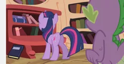 Size: 982x511 | Tagged: safe, derpibooru import, screencap, spike, twilight sparkle, pony, back of head, female, mare, plot