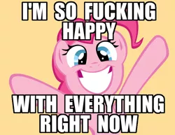 Size: 800x616 | Tagged: artist:haloreplicas, derpibooru import, hug, i found pills and ate them, image macro, irrational exuberance, meme, pinkie pie, reaction image, safe, smiling, so fucking happy, vulgar