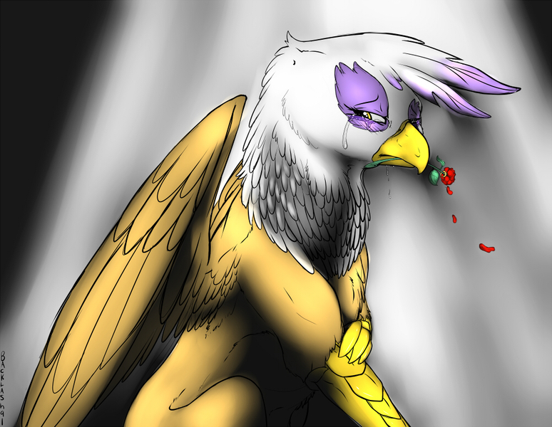 Size: 1000x775 | Tagged: safe, artist:backlash91, derpibooru import, gilda, gryphon, crying, female, flower, flower in mouth, holding arm, image, jewelry, jpeg, looking sideways, mouth hold, petals, ring, rose, sad, sitting, solo, spread wings, teary eyes, wings