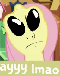 Size: 369x464 | Tagged: alien, alien eyes, ayy lmao, derpibooru import, edit, expand dong, exploitable meme, faic, fluttershy, gray, meme, nightmare fuel, not salmon, reaction image, safe, solo, uma, void eyes, wat, what horrors have been unleashed