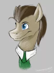 Size: 600x800 | Tagged: safe, artist:dunnowhattowrite, derpibooru import, doctor whooves, time turner, doodle, necktie, sketch, solo