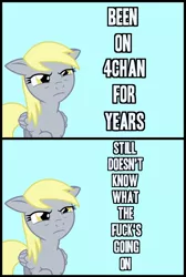 Size: 600x892 | Tagged: 4chan, derpibooru import, derpy hooves, disappointed derpy meme, doubly disappointed derpy meme, exploitable meme, meme, reaction image, safe, text