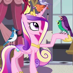 Size: 646x646 | Tagged: safe, derpibooru import, screencap, constance, princess cadance, alicorn, bird, blue jay, pony, a canterlot wedding, birdsong, female, jewelry, mare, purple martin, regalia, songbird