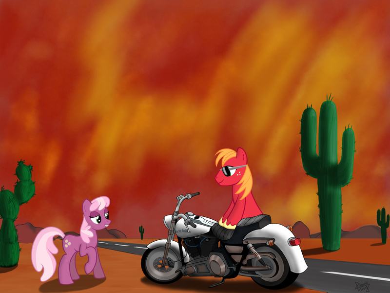 Size: 2048x1536 | Tagged: safe, artist:aagun, derpibooru import, big macintosh, cheerilee, earth pony, pony, cactus, cheerimac, desert, male, motorcycle, saguaro cactus, shipping, stallion, straight, sunglasses