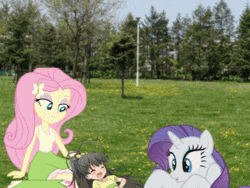 Size: 320x240 | Tagged: safe, derpibooru import, screencap, fluttershy, rarity, equestria girls, animated, crossover