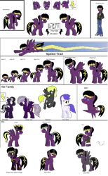 Size: 2000x3250 | Tagged: safe, artist:thunder-breaker, derpibooru import, oc, oc:thunder breaker, unofficial characters only, crystal pony, pegasus, pony, pony creator, discorded, family, rainbow power, rainbow power-ified, reference sheet, why