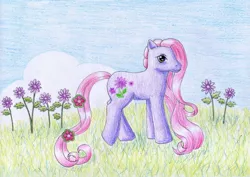 Size: 1024x726 | Tagged: artist:normaleeinsane, derpibooru import, flower, g3, petal blossom, safe, solo, traditional art