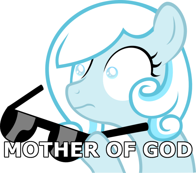 Size: 1173x1040 | Tagged: safe, derpibooru import, oc, oc:snowdrop, unofficial characters only, pegasus, pony, blind, blind joke, caption, female, filly, hoof hold, image macro, meme, mother of god, reaction image, shocked, simple background, solo, sunglasses, text, transparent background, vector, we are going to hell
