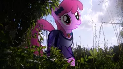 Size: 3840x2160 | Tagged: safe, artist:bastbrushie, artist:theshadowstone, derpibooru import, berry punch, berryshine, earth pony, pony, background pony, bow, choker, clothes, dress, female, field, hair bow, irl, mare, photo, ponies in real life, smiling, solo, vector