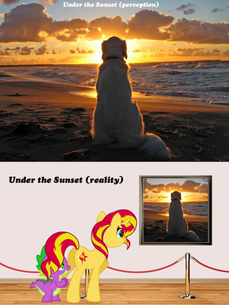 Size: 1512x2011 | Tagged: suggestive, artist:dashiesparkle, artist:eliyora, derpibooru import, vector edit, spike, sunset shimmer, dog, pony, beach, cloud, cloudy, comparison, eyes on the prize, female, flank, from behind, love, male, ocean, painting, plot, sand, shipping, sky, straight, sun, sunset, sunsetspike, wall