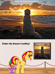 Size: 1512x2011 | Tagged: suggestive, artist:dashiesparkle, artist:eliyora, derpibooru import, vector edit, spike, sunset shimmer, dog, pony, beach, cloud, cloudy, comparison, eyes on the prize, female, flank, from behind, love, male, ocean, painting, plot, sand, shipping, sky, straight, sun, sunset, sunsetspike, wall