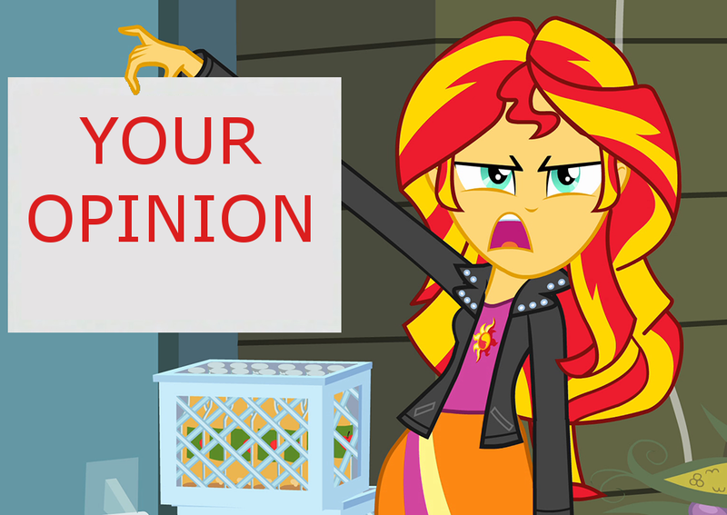 Size: 1016x720 | Tagged: safe, derpibooru import, sunset shimmer, equestria girls, exploitable meme, meme, sunset is disgusted, your opinion