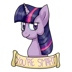 Size: 1000x1000 | Tagged: artist:stockingstreams, derpibooru import, looking at you, old banner, positive ponies, raised eyebrow, safe, smiling, solo, twilight sparkle