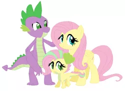 Size: 728x530 | Tagged: artist:unoriginai, cute, derpibooru import, dracony, dragon, family, fangs, female, filly, fluttershy, flutterspike, hybrid, interspecies offspring, male, oc, offspring, older, older spike, parent:fluttershy, parents:flutterspike, parent:spike, raised eyebrow, safe, shipping, simple background, smiling, spike, straight, white background